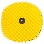 FWF Beta